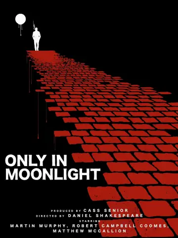 Poster to the movie "Only in Moonlight" #848806