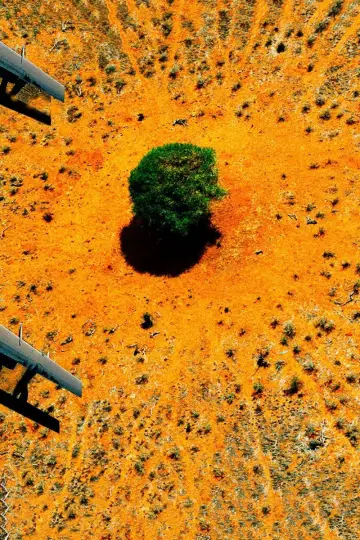 Nature: The Call for Reconciliation