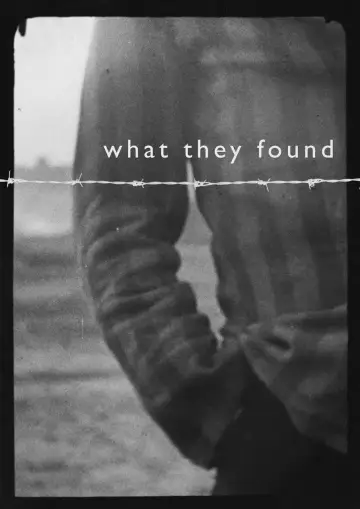 Poster to the movie "What They Found" #978768