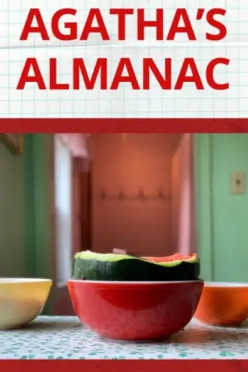 Poster to the movie "Agatha’s Almanac" #820099