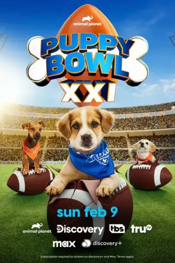 Poster to the movie "Puppy Bowl XXI" #653361