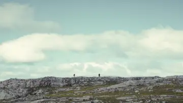 Backdrop to the movie "The North" #673864
