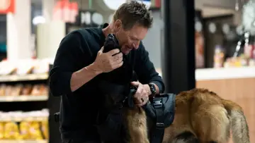Backdrop to the movie "Muzzle: City of Wolves" #509977