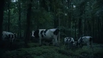 Backdrop to the movie "Elsewhere at Night" #1143369