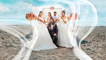 Backdrop to the movie "Groom & Two Brides" #783848