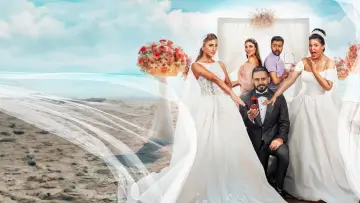 Backdrop to the movie "Groom & Two Brides" #783849
