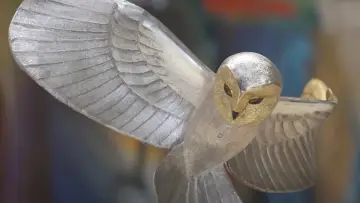 Backdrop to the movie "Finding The Golden Owl" #941190