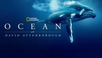 Backdrop to the movie "Ocean with David Attenborough" #617830