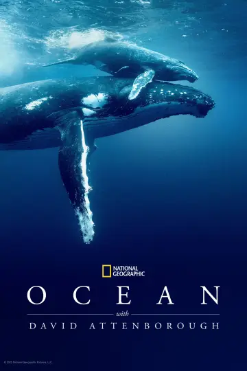 Poster to the movie "Ocean with David Attenborough" #617839