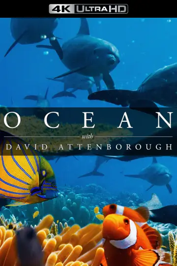 Poster to the movie "Ocean with David Attenborough" #617860