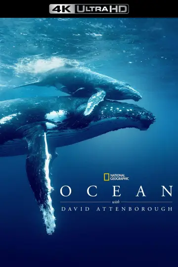 Poster to the movie "Ocean with David Attenborough" #617874