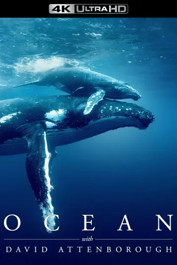 Poster to the movie "Ocean with David Attenborough" #617876