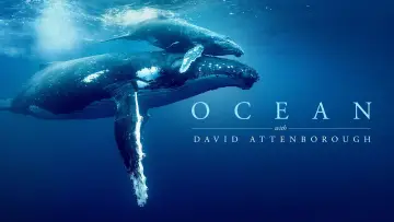 Backdrop to the movie "Ocean with David Attenborough" #912425