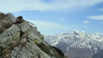 Backdrop to the movie "Hunter