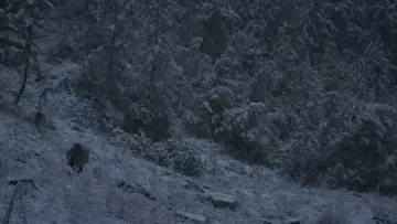 Backdrop to the movie "Hunter