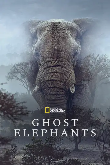 Poster to the movie "Ghost Elephants" #764755