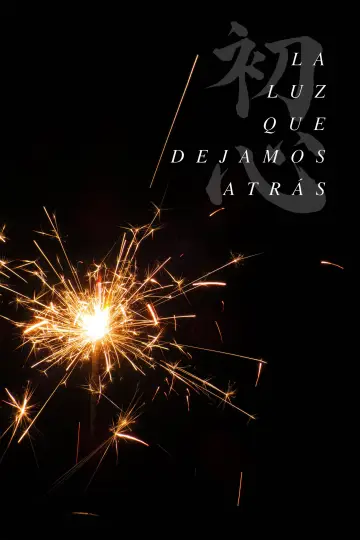 The Light We Left Behind poster