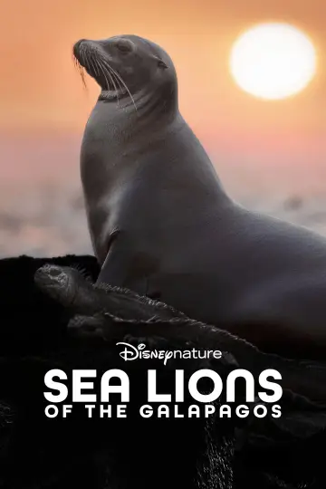 Poster to the movie "Sea Lions of the Galapagos" #719373