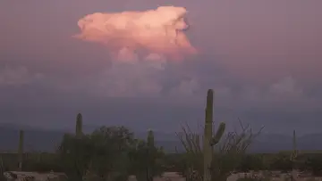 Backdrop to the movie "Spare My Bones, Coyote!" #542318