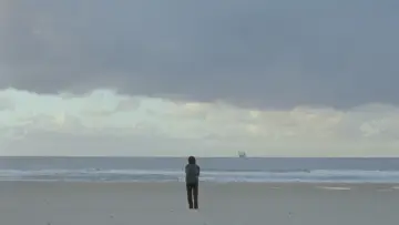 Backdrop to the movie "Sugarland" #697807