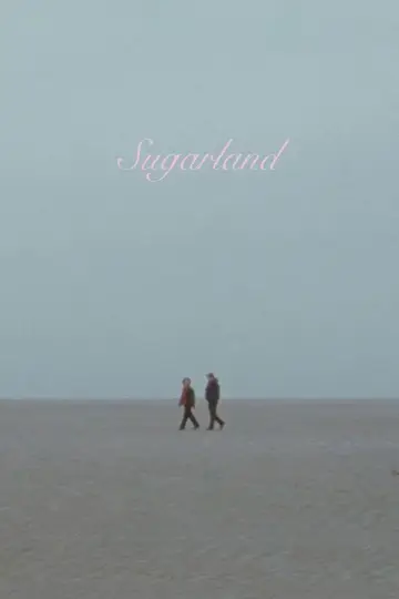 Poster to the movie "Sugarland" #697809