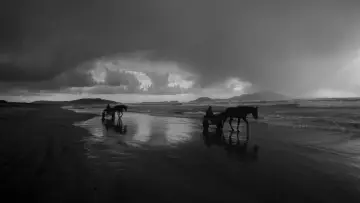 Backdrop to the movie "Pompei: Below the Clouds" #540889