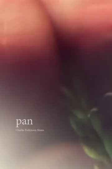 Poster to the movie "Pan" #981794