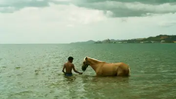 Backdrop to the movie "Esta Isla" #1525233