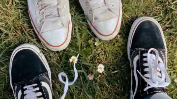 Backdrop to the movie "Heartstopper Forever" #1154351