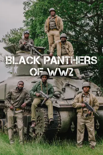 Poster to the movie "Black Panthers of WWII" #665910