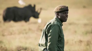 Backdrop to the movie "Rhino" #923507
