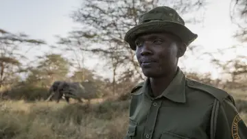 Backdrop to the movie "Rhino" #923508