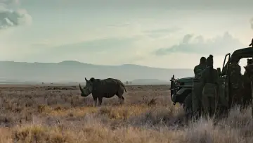 Backdrop to the movie "Rhino" #923510