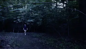 Backdrop to the movie "pistanthrophobia" #1151044