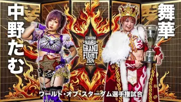 Backdrop to the movie "Stardom Namba Grand Fight 2024" #973308