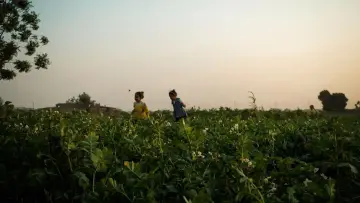 Backdrop to the movie "Al Baraneya" #1190502