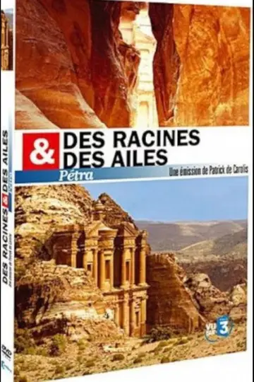 Poster to the movie "Des racines et des ailes Pétra" #918583