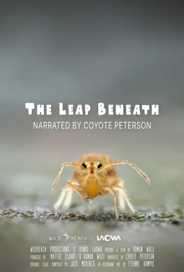 Poster to the movie "The Leap Beneath" #801944