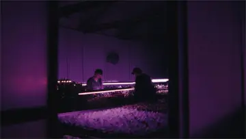 Backdrop to the movie "Despite the Night" #1525512