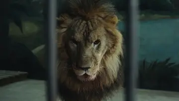 Backdrop to the movie "Wild Nights, Tamed Beasts" #765067
