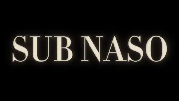 Backdrop to the movie "Sub Naso" #967048