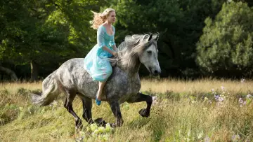 Backdrop to the movie "Cinderella" #170371