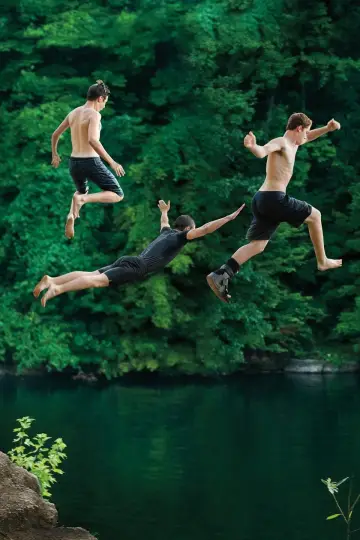 Poster to the movie "The Kings of Summer" #992252