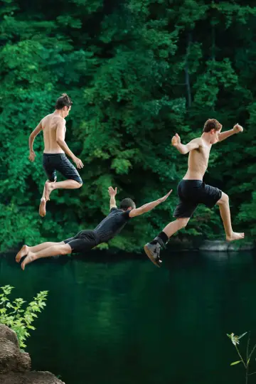 Poster to the movie "The Kings of Summer" #992253