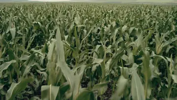 Backdrop to the movie "Interstellar" #797367