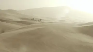 Backdrop to the movie "Queen of the Desert" #428466
