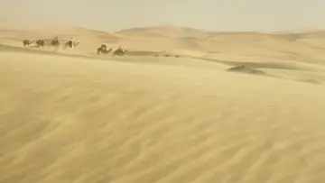 Backdrop to the movie "Queen of the Desert" #428467
