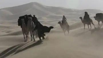 Backdrop to the movie "Queen of the Desert" #428475