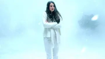 Backdrop to the movie "White Bird in a Blizzard" #300416