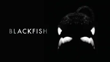 Backdrop to the movie "Blackfish" #1042829